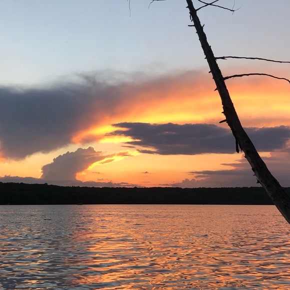 Meet your Posher, Kim - Picture 1 of 1